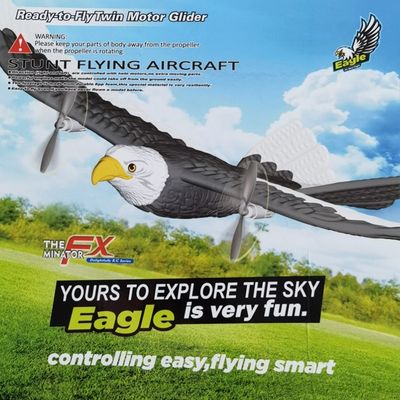 Tempo de carregamento Cerca de 90 minutos 2024 Fx-651 Fx Rc Avião 2.4g 405mm Simulação de envergadura Águia Avião brinquedos Planadores Regalos para crianças