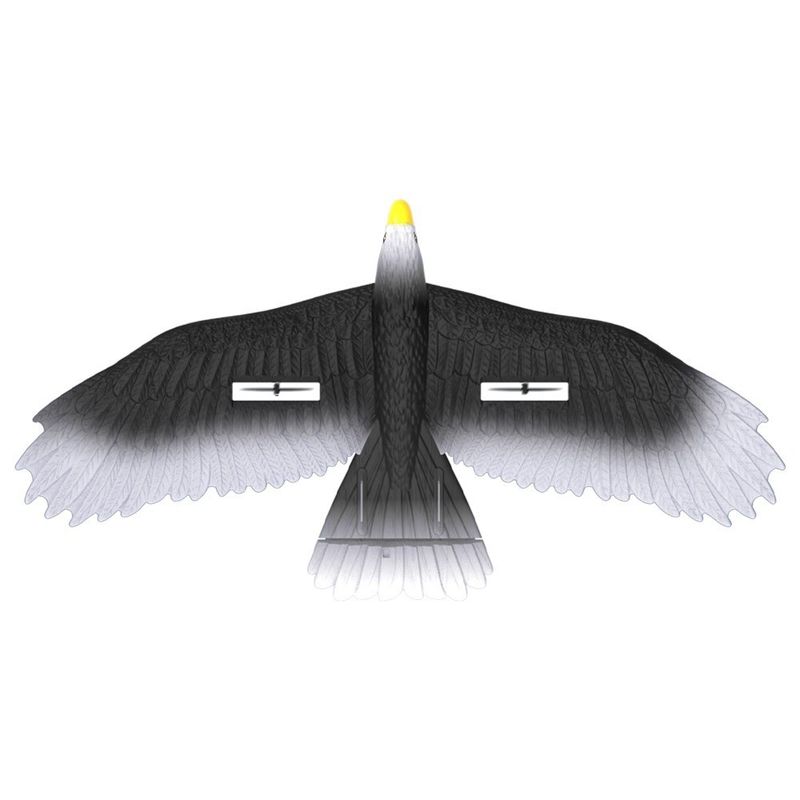 3-Ch RC Bird Avião Fly Toy RC Avião EPP Modelo Eagle Toys Glider Jet Controller Bateria 4 * 1.5AAA Bateria não incluída